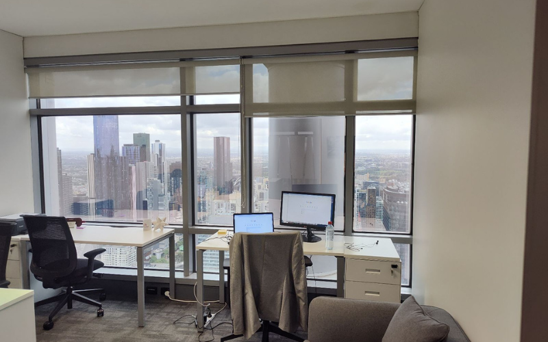 Elephant in the Boardroom New Office - Collins Street